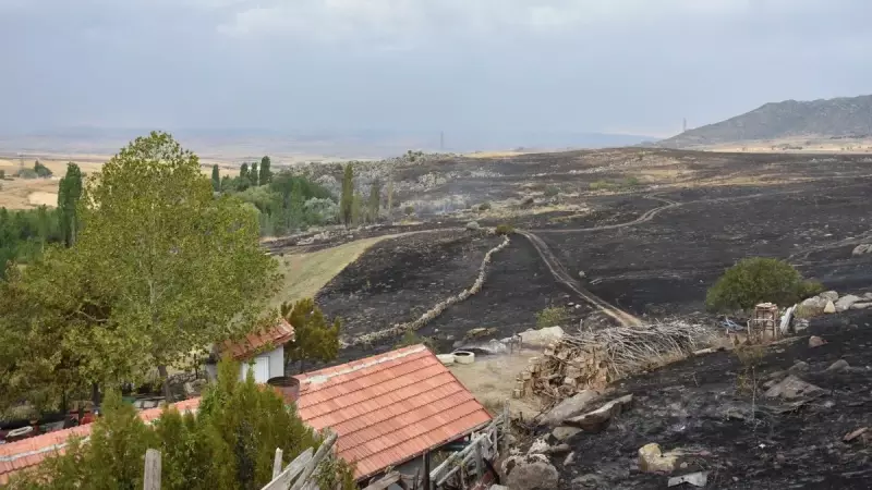 Alevler Köyü Sardı: 250 Dönüm Arazi ve 2 Ahır Küle Döndü!