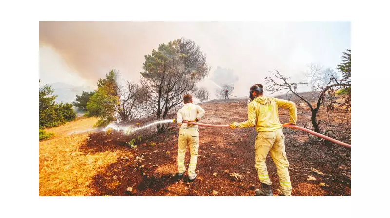 Alevlerle Amansız Mücadele: İtfaiye Ekipleri Gece Gündüz Demeden Çalışıyor!