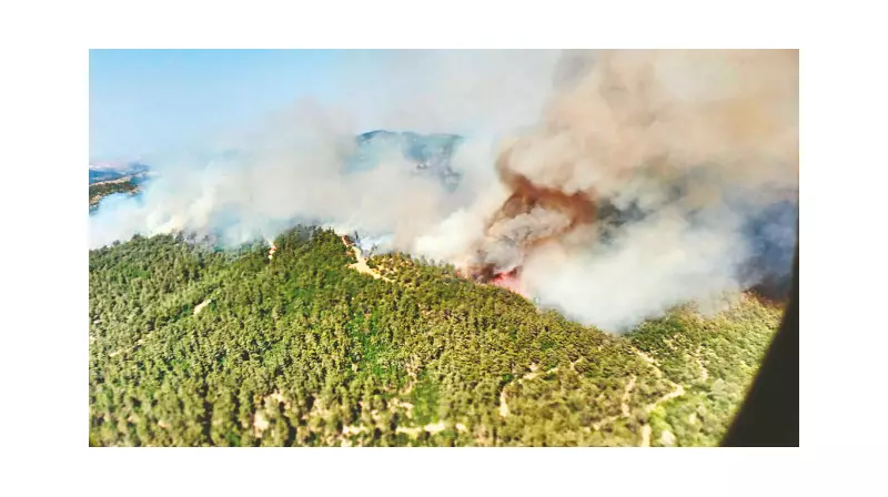 Alevlerle Mücadele Tüm Hızıyla Devam Ediyor: İtfaiye Ekipleri Gece Gündüz Demeden Çalışıyor