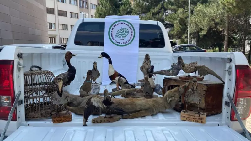 Alexander Graham Bell'in İkonik İcadı: Telefonun Doğuşu ve İlham Veren Hikayesi