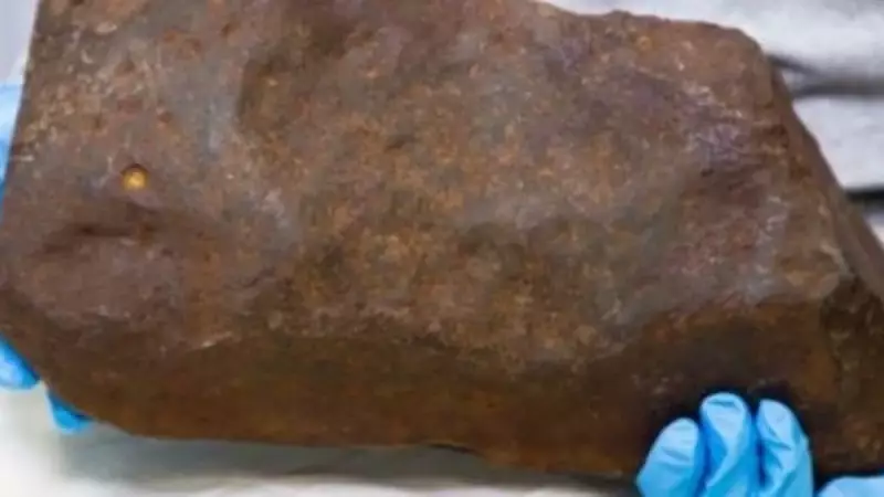 Altın Sanılan Şeyin Gerçek Değeri Ortaya Çıktı: Dünyada Sadece 17 Tane Var!