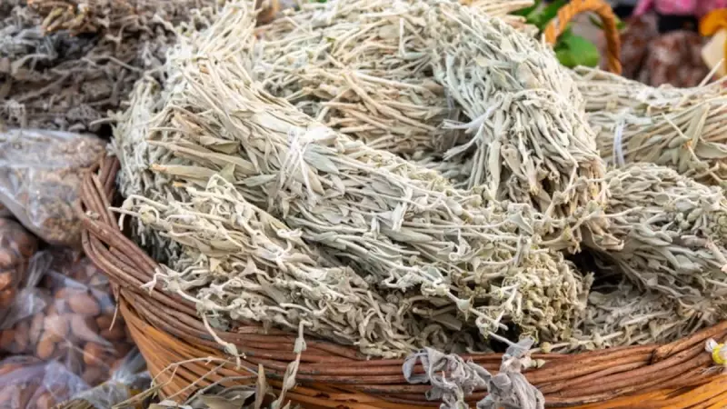 Alzheimer'ı Doğal Yöntemlerle Yavaşlatın: Kan Dolaşımını Hızlandıran ve Beyni Gençleştiren Şaşırtıcı Çözüm!