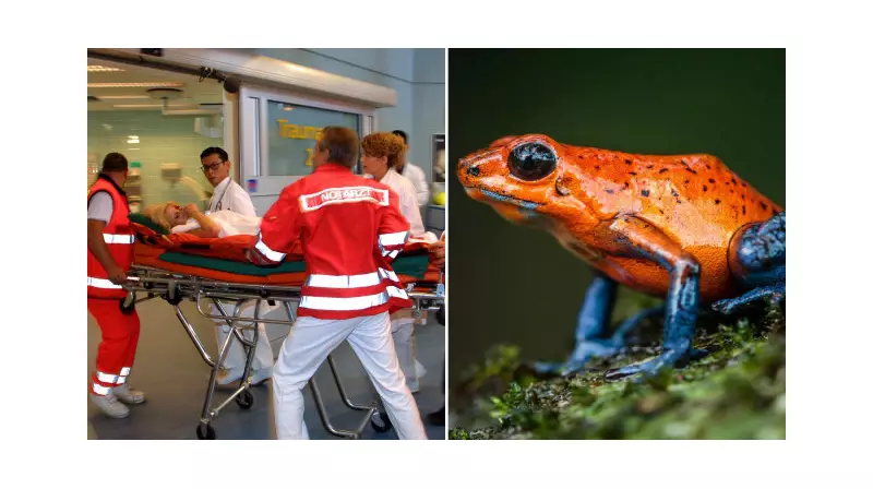 Amazon'dan Gelen 'Arınma Ritüeli' Zehiri: Genç Kadın Hastanelik Oldu!