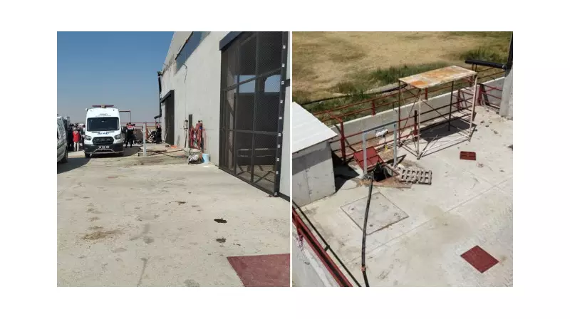 Ankara'da Besi Çiftliğinde Metan Gazı Faciası: 2 İşçi Hayatını Kaybetti!