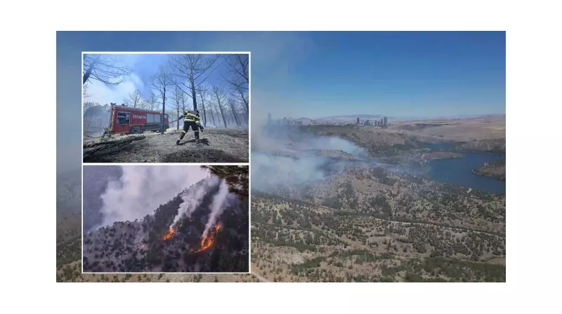 Ankara'da Orman Yangını: Alevlerle Mücadele Devam Ediyor!