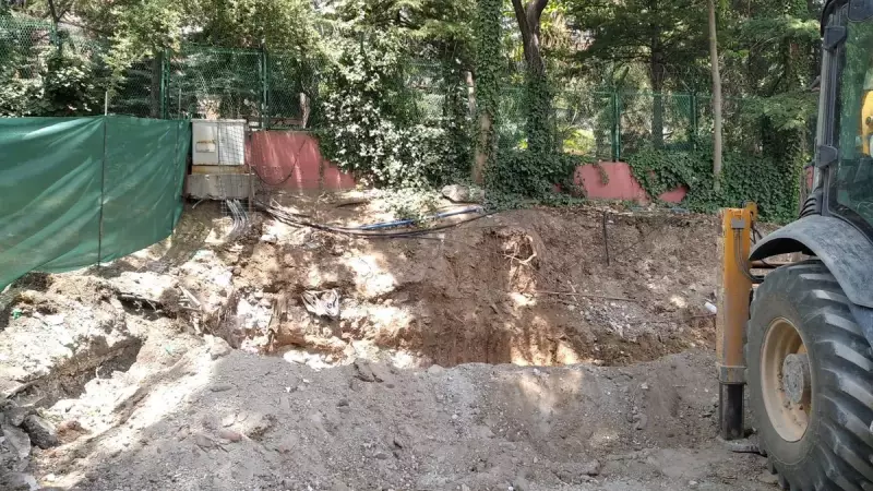 Çankaya'da Yeşil Katliamı: Zabıta Müdürü Vatandaşa Yumruk Attı!