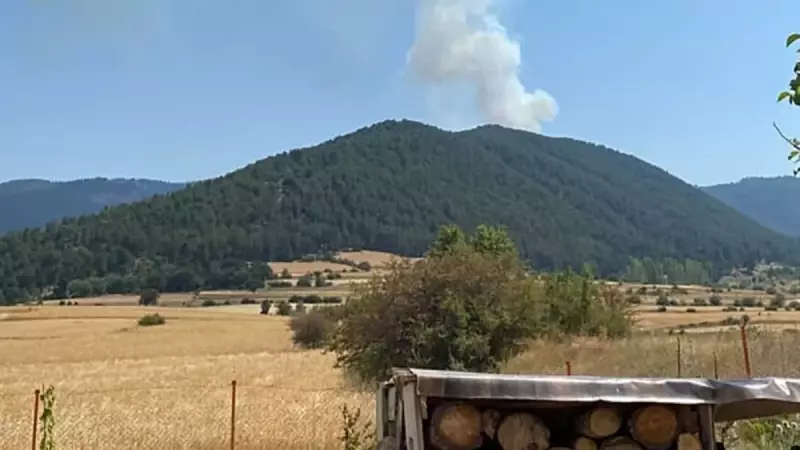Çankırı'da Orman Yangını: Alevler Rüzgarla Birlikte Hızla Yayılıyor!