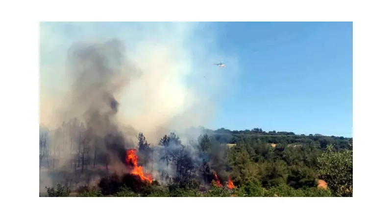 Arda Güler İçin Bomba Açıklama: 'Gerçek Bir Yıldız Olma Yolunda!'