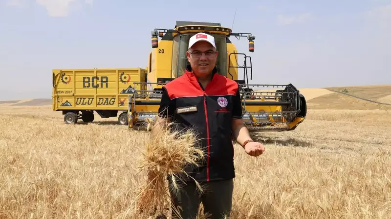Ağrı'da Tarımın Nabzı: 2025'te 280 Bin Ton Buğday ve 160 Bin Ton Arpa Bekleniyor!