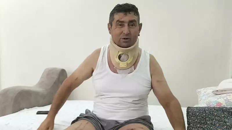 Aslan Saldırısından Sonra Hayata Tutunan Adam: 'Rüyalarımda Bile Onunla Boğuşuyorum'