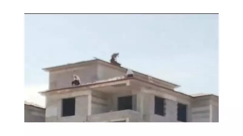 Çatıda Ölümcül Risk! İşçilerin Can Güvenliği Tehlikede