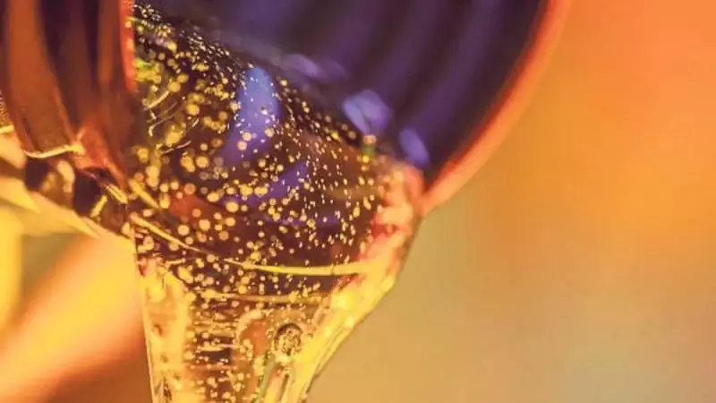 Atık Madeni Yağlar Artık Daha Değerli: Yeni Düzenleme ile Çevre ve Ekonomi Kazanacak!