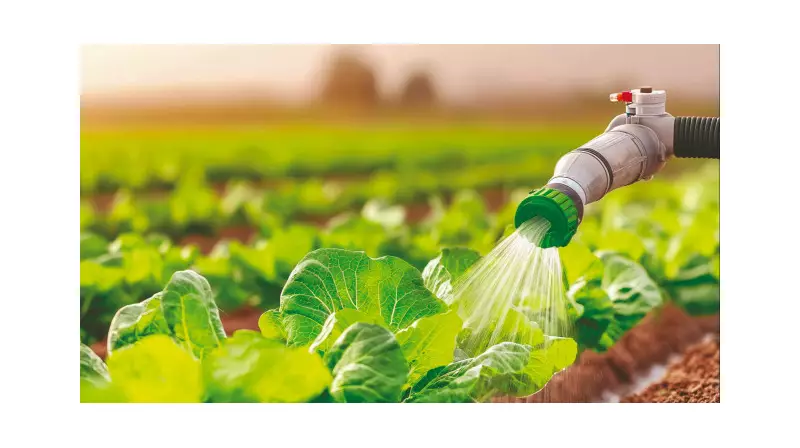 Atık Sular Tarımda İkinci Bir Hayat Buluyor: Çevre Dostu Proje Göz Kamaştırıyor!