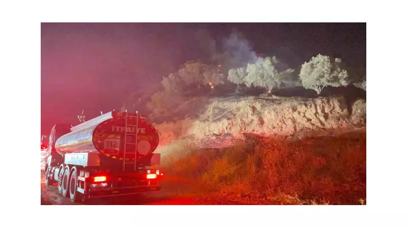 Aydın'da Zeytinlik Alanında Çıkan Yangın, Ekiplerin Hızlı Müdahalesiyle Kontrol Altına Alındı!