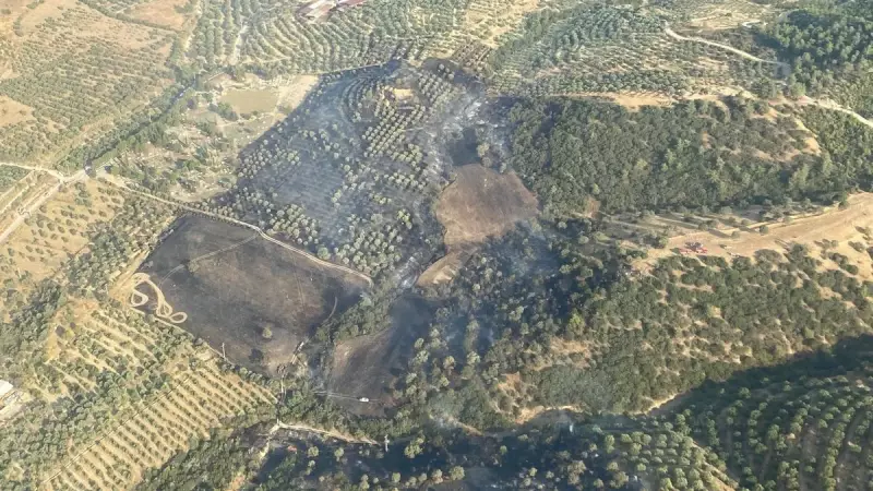 Aydın'da Çıkan Yangınla Mücadele Tüm Hızıyla Devam Ediyor!