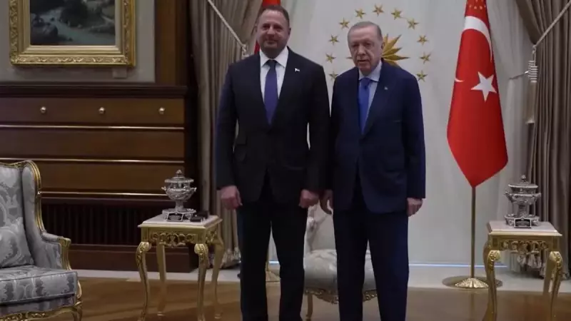 Başkan Erdoğan, Ukrayna Devlet Başkanlığı Ofisi Başkanı Yermak ile Görüştü: Diplomatik Görüşmenin Detayları