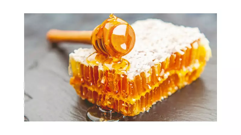 Bal: Sofraların Şifa Dolu Misafiri ve Bilinmeyen Faydaları