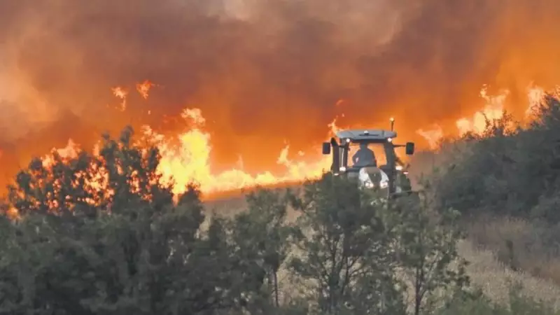 Balkanlar Alevlerle Boğuşuyor: Orman Yangınları Kontrolden Çıktı!