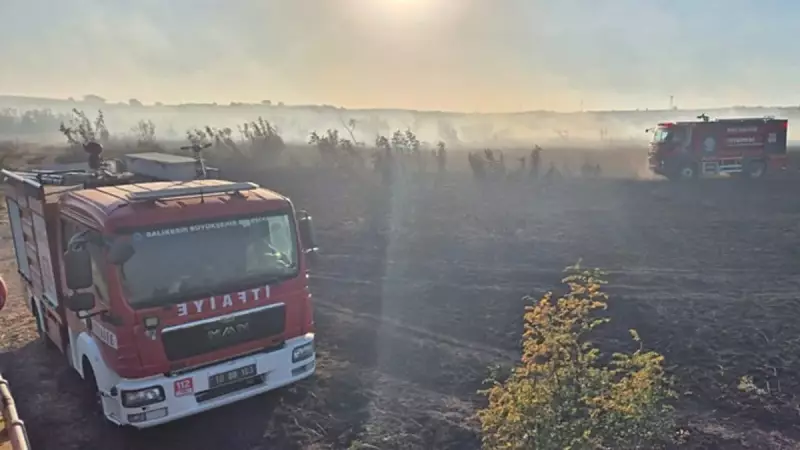 Balıkesir'de Çıkan Mera Yangını, İtfaiyenin Yoğun Çabasıyla Kontrol Altına Alındı!