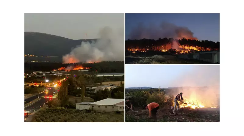 Balıkesir'de Tavuk Çiftliğinden Sıçrayan Alevler Ormanlık Alanda Büyük Yangına Dönüştü!