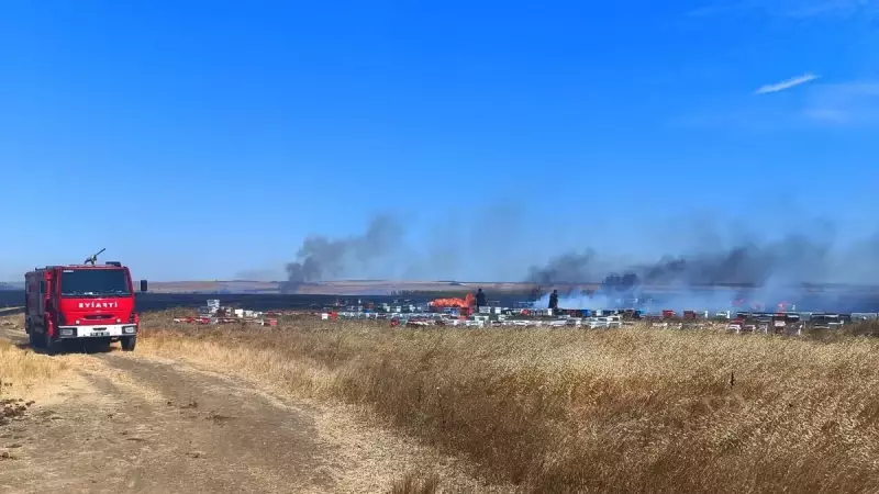 Berlin Kaplanı Filmi: Çekimlerin Arkasındaki Sırlar ve Oyuncu Kadrosu