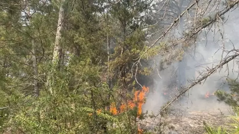 Beşiktaş Başkanı Adalı'dan Orkun Kökçü Açıklaması: 'Bu İlgiye Layık Olacak'