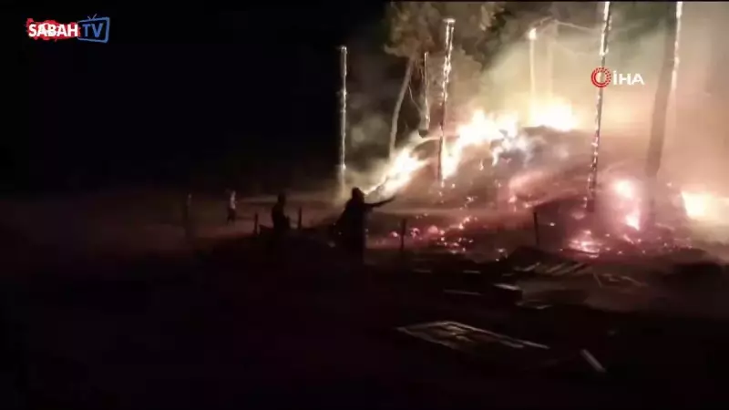 Bilecik'te Orman Yangını: Alevler Yeniden Harekete Geçti!