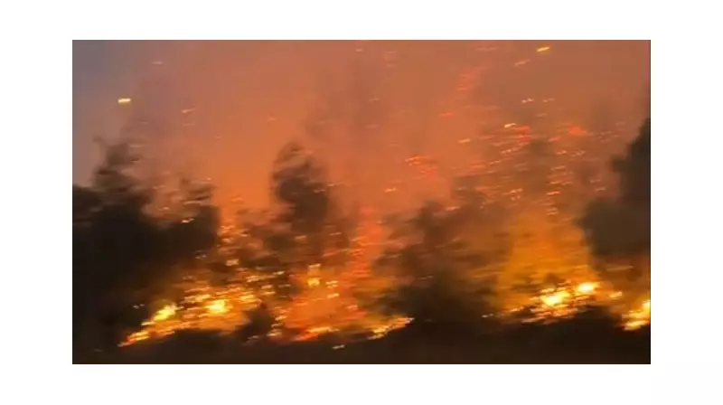 Bilecik'te Orman Yangını: Alevler Yeniden Harekete Geçti! Son Dakika Gelişmeleri