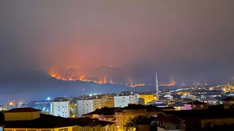 Bilecik'te Tarihin En Büyük Orman Yangını: 4 Köy Tahliye Edildi!