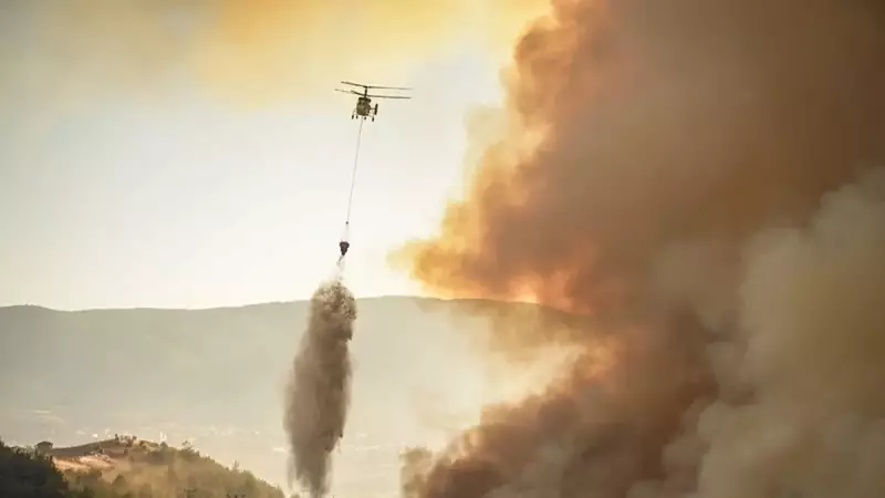 Bilecik'teki Orman Yangını Kontrol Altında: Bakan Yumaklı'dan Flaş Açıklama!