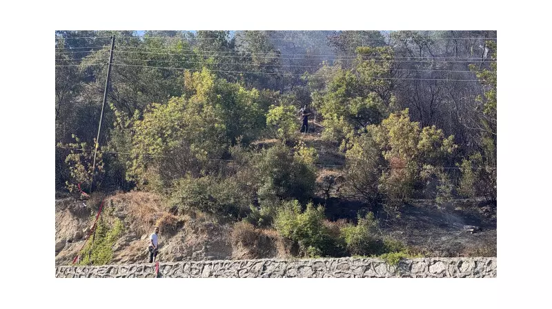 BİM'de Bu Hafta Göz Alıcı Yeni Ürünler! Oje Kurutucudan LED Aynaya Şahane Seçenekler