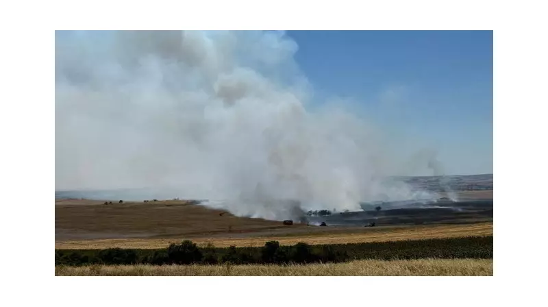 Bitcoin Tarihinin En Yüksek Seviyesini Gördü: Trump Etkisiyle 122 Bin Doları Aştı!