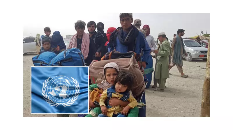 BM'den Çarpıcı Çağrı: Afganların Zorla Geri Gönderilmesi Hemen Durdurulsun!