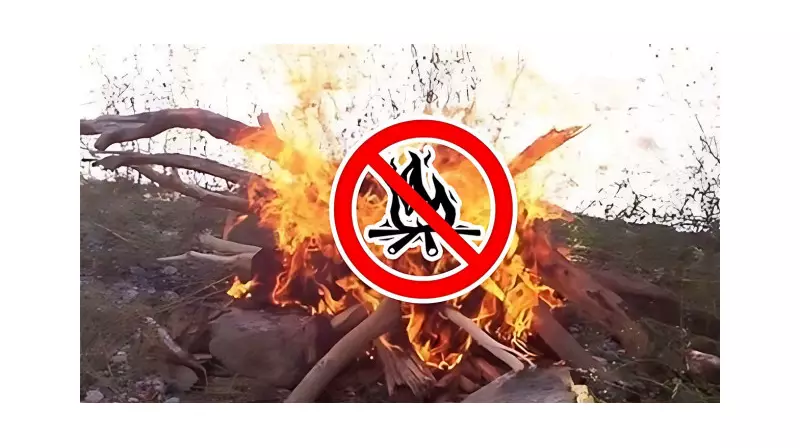 Bolu'da Piknik Keyfi Artık Daha Güvenli: Ateşli Piknikler Yasaklandı!