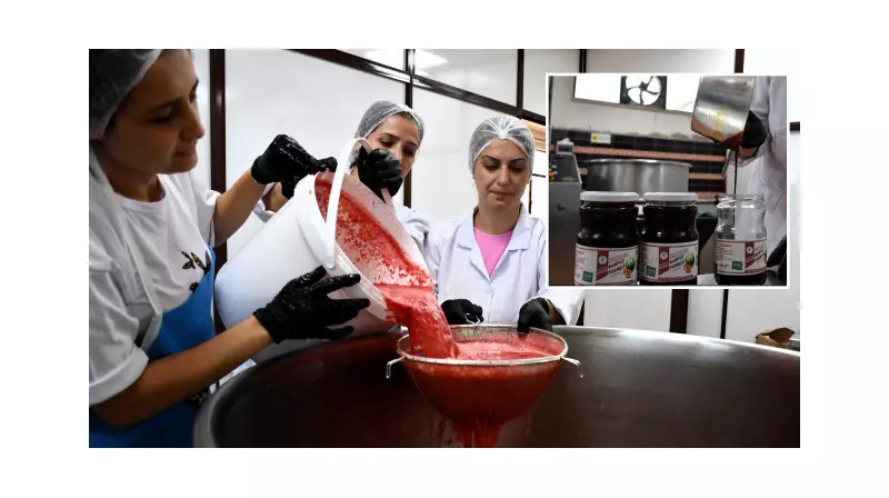 Bu İlçede Coğrafi İşaretli Karpuzlar 25 Kat Değer Kazandı! Pekmeze Dönüşen Lezzet Şaşırttı