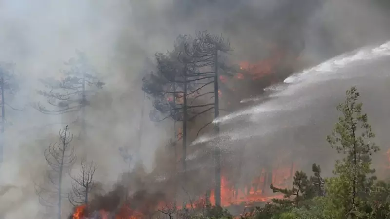 Bursa, Kahramanmaraş, İzmir ve Karabük'te Alevlerle Mücadele: Son Dakika Orman Yangını Gelişmeleri!