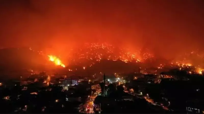 Bursa, Karabük ve Kahramanmaraş'ta Orman Yangınları: 21 Kişi Tutuklandı!