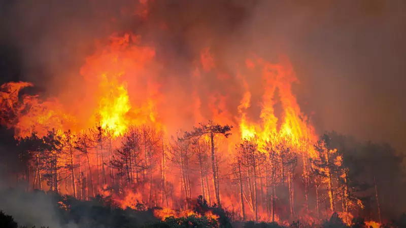 Bursa'da Çıkan Yangında Son Durum: 1 Kişi Gözaltında!