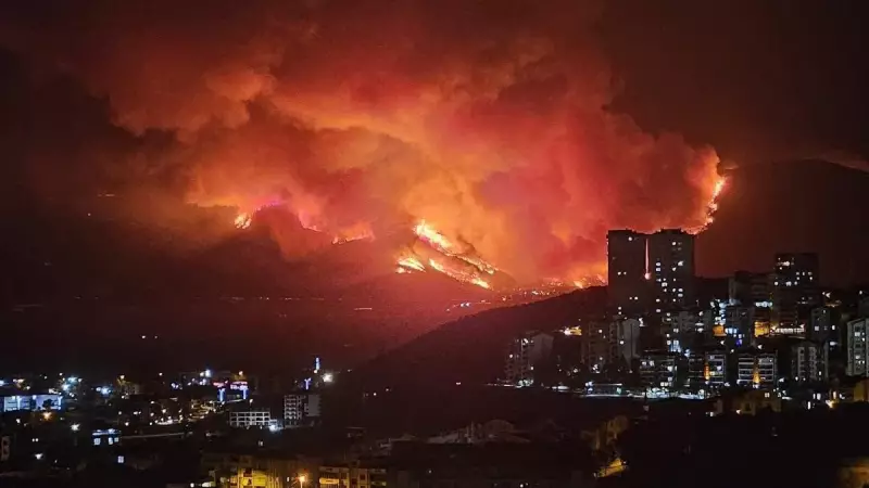 Bursa'da Orman Yangınları Alarm Veriyor: Yerleşim Yerleri Tehlikede!