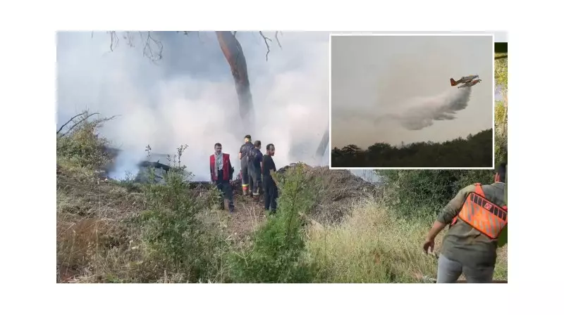 Bursa'da Orman Yangınlarına Karşı Hava Destekli Mücadele: 3 Helikopter ve 3 Uçak Göreve Hazır!