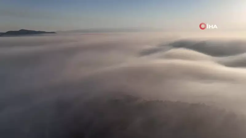 Bursa'daki Orman Yangınıyla Mücadele Tüm Hızıyla Sürüyor: İşte Son Durum!