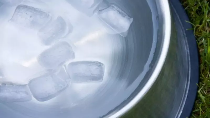 Buz Küpleriniz Sizi Hasta Edebilir! İşte Serinlerken Dikkat Etmeniz Gerekenler