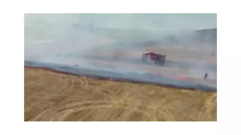 Büyükçekmece'de Otluk Alanında Çıkan Yangın Korkuttu: İşte Detaylar!