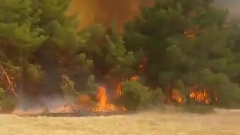 Çanakkale'de Alevlerle Mücadele: Orman Yangınına Hava ve Kara Müdahalesi