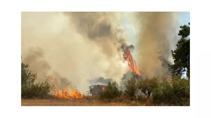 Çanakkale'de Çıkan Orman Yangını Son Dakika: Alevler Kontrol Altında!