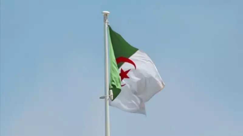 Cezayir Bayrağının Sırları: Renklerin ve Sembollerin Şaşırtıcı Anlamları!
