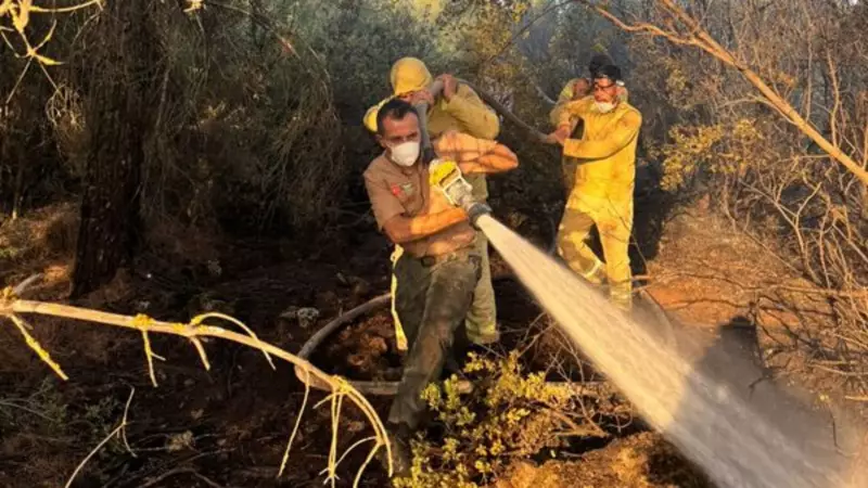 Denizli'nin Tavas İlçesinde Orman Yangını: Alevler Rüzgarla Birlikte Hızla Yayılıyor!