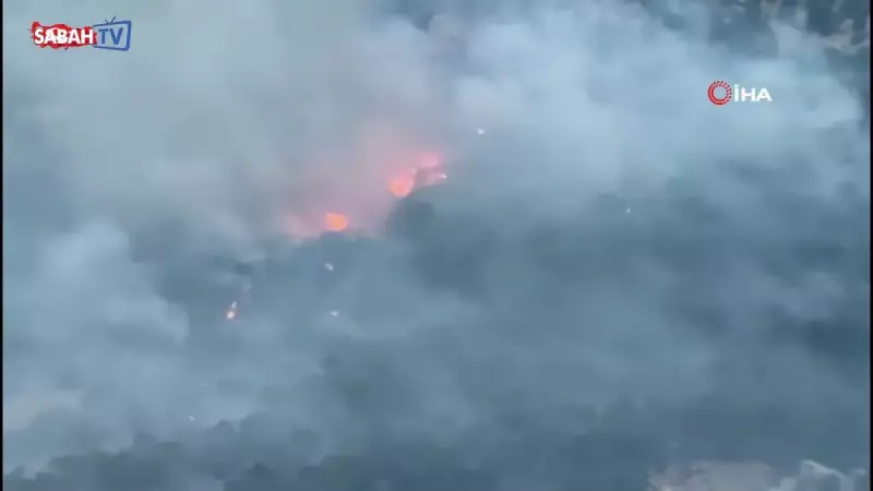 Diyarbakır'da 10 Saat Süren Orman Yangını Sonunda Kontrol Altına Alındı!