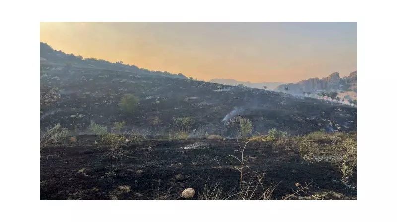 Diyarbakır'da Çıkan Orman Yangını: Alevler Mera ve Ormanlık Alanı Sardı!