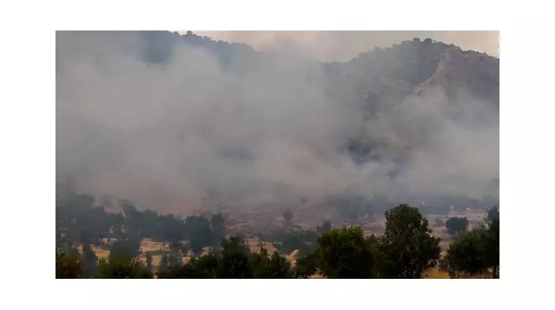 Diyarbakır'da Ormanlık Alanda Çıkan Yangın: İtfaiye Seferber Oldu!